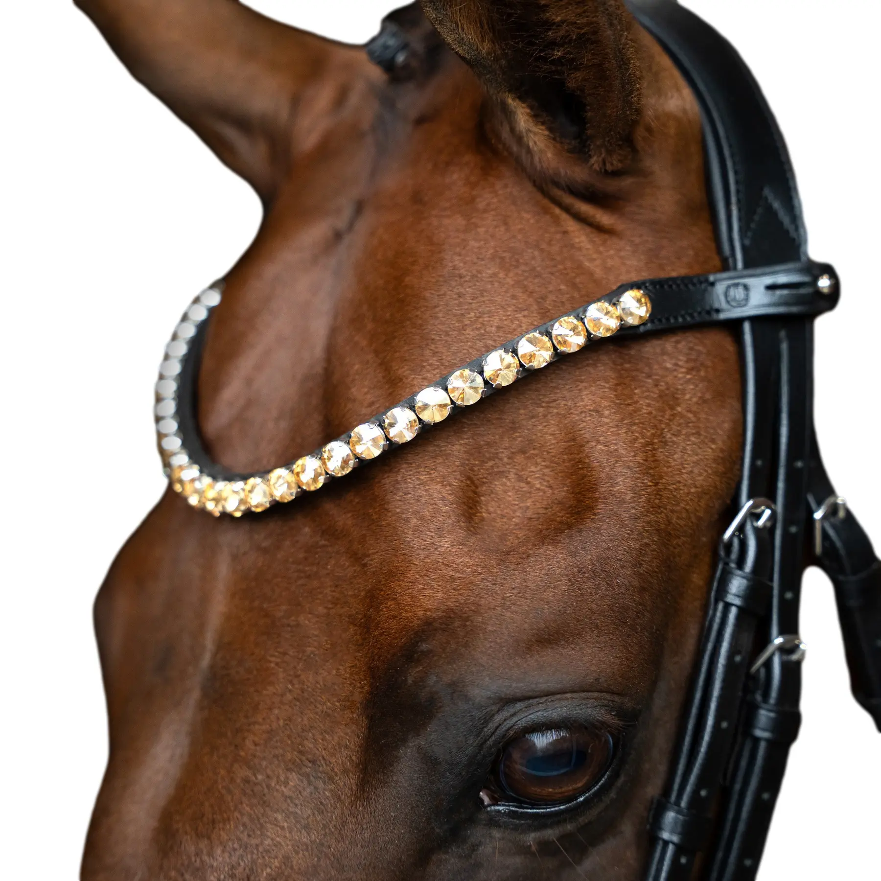 Frontal for horse Imperial Riding Grande