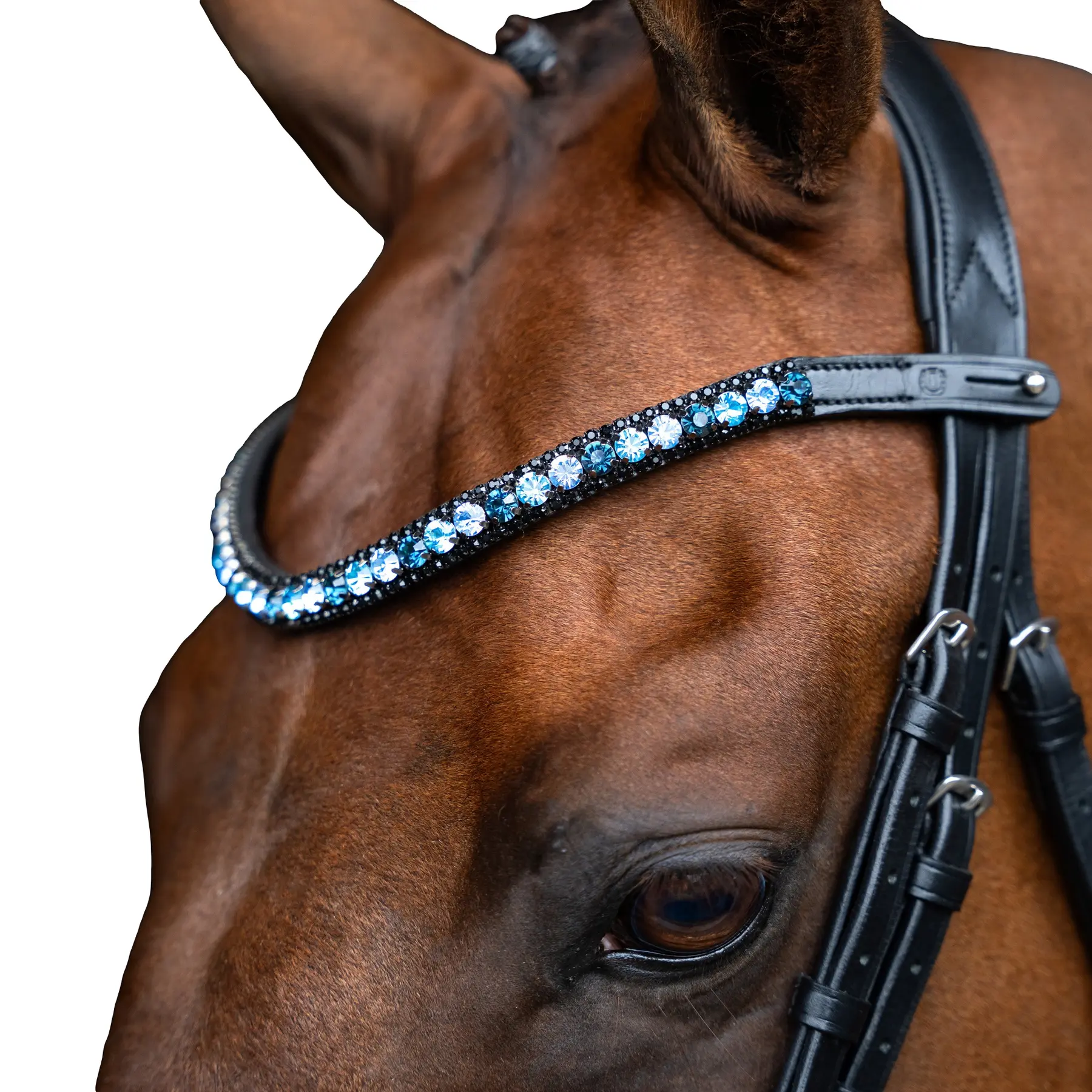 Frontal for horse Imperial Riding Grande
