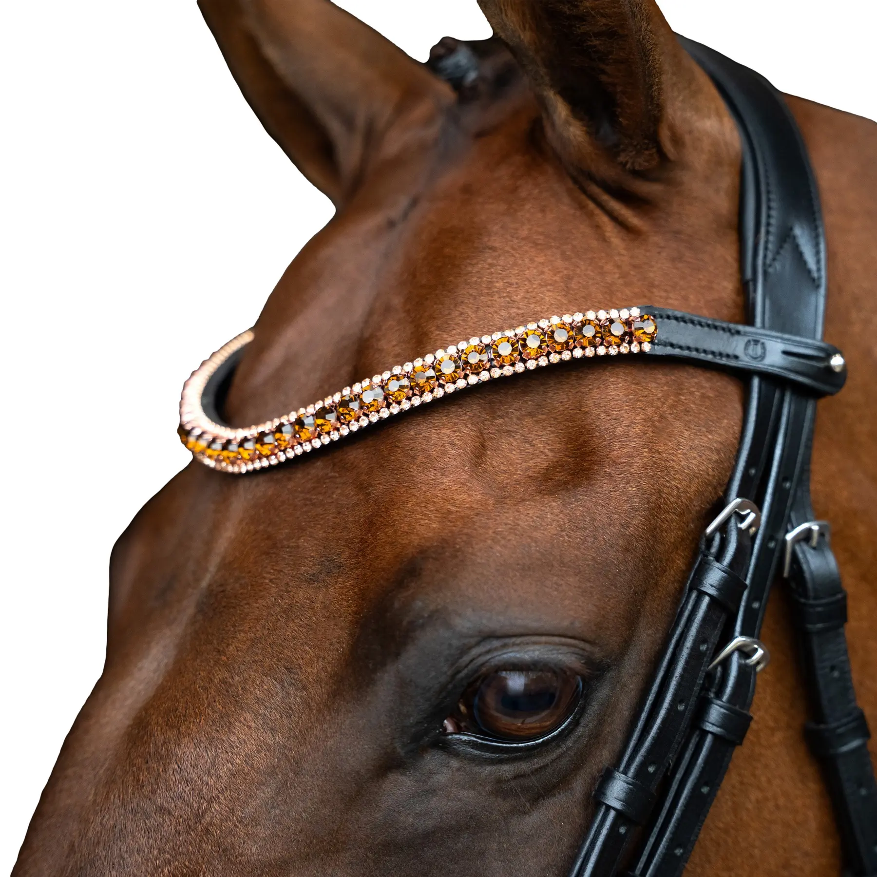 Frontal for horse Imperial Riding Grande