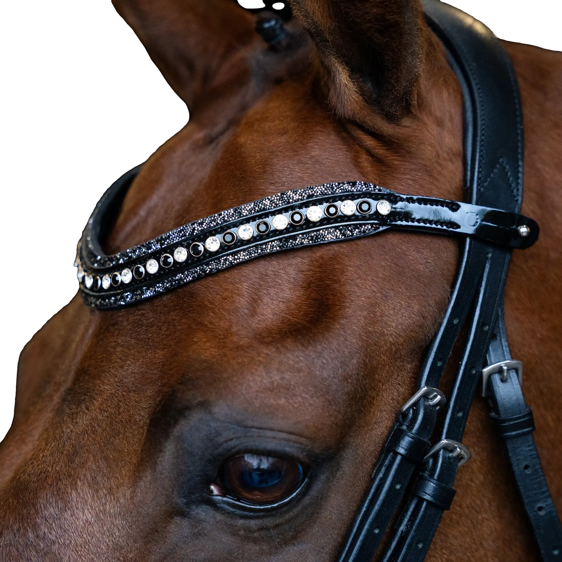 Frontal for horse Imperial Riding Maxima