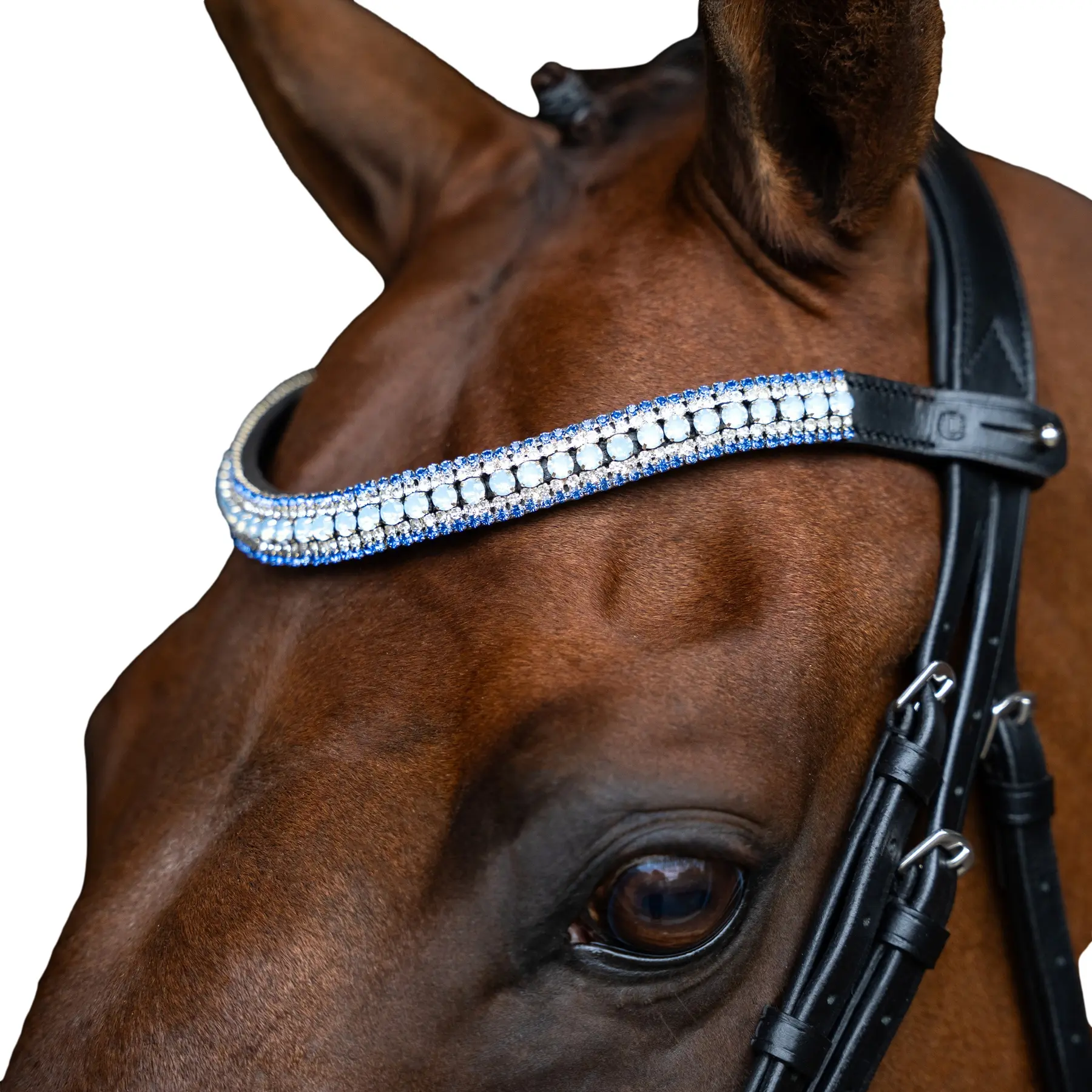 Frontal pour cheval Imperial Riding Maxima
