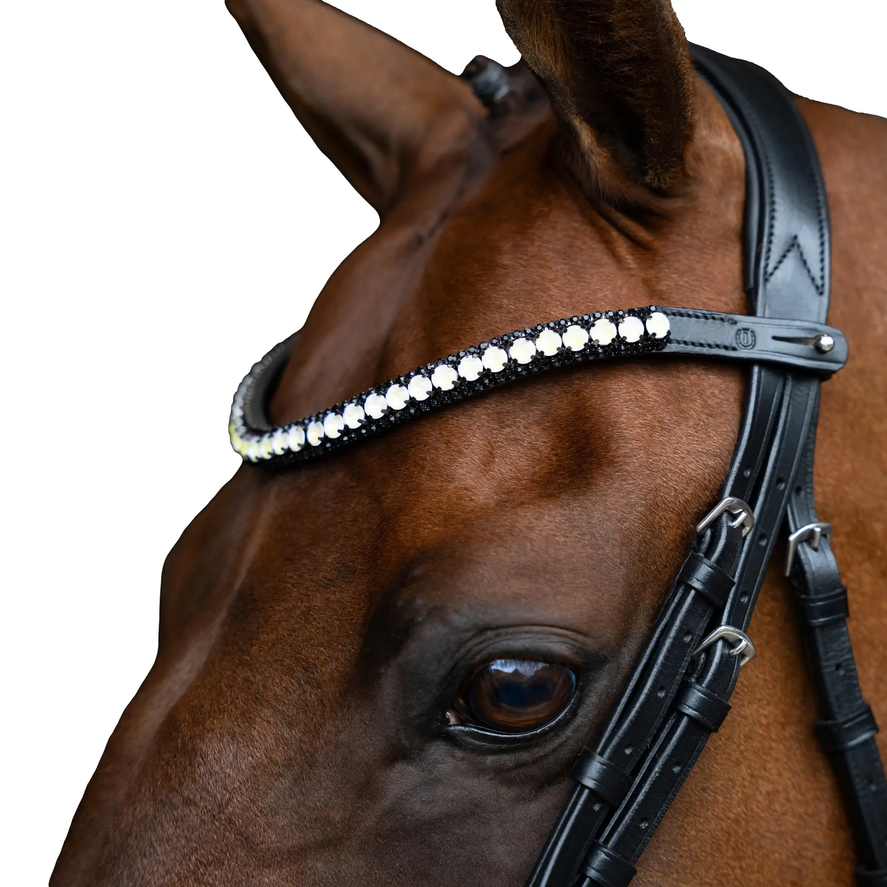 Frontal for horse Imperial Riding Maxima