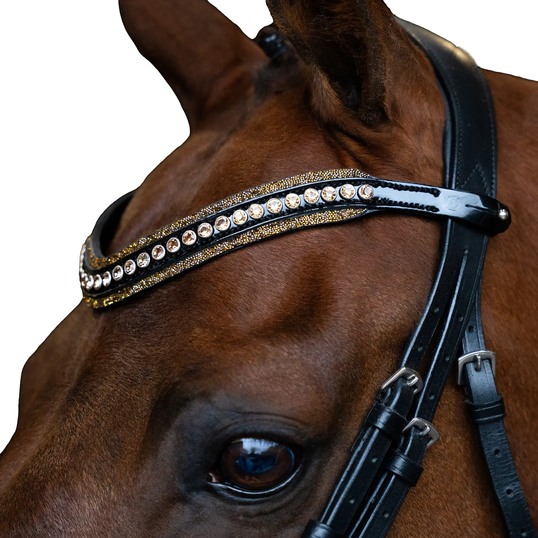 Stirnband für Pferd Imperial Riding Maxima