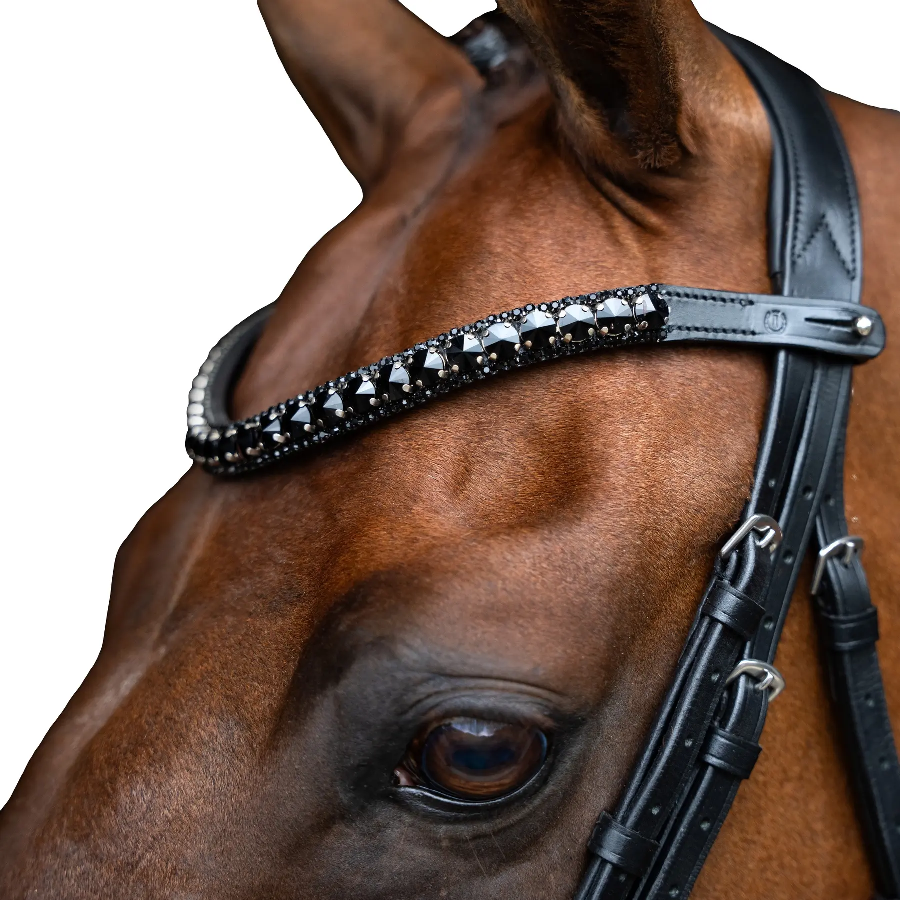 Frontal for horse Imperial Riding Maxima