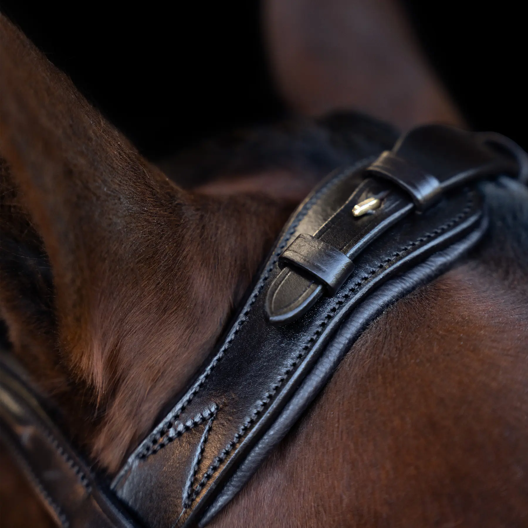 Imperial Riding Marron Trense Mit Nasenriemen