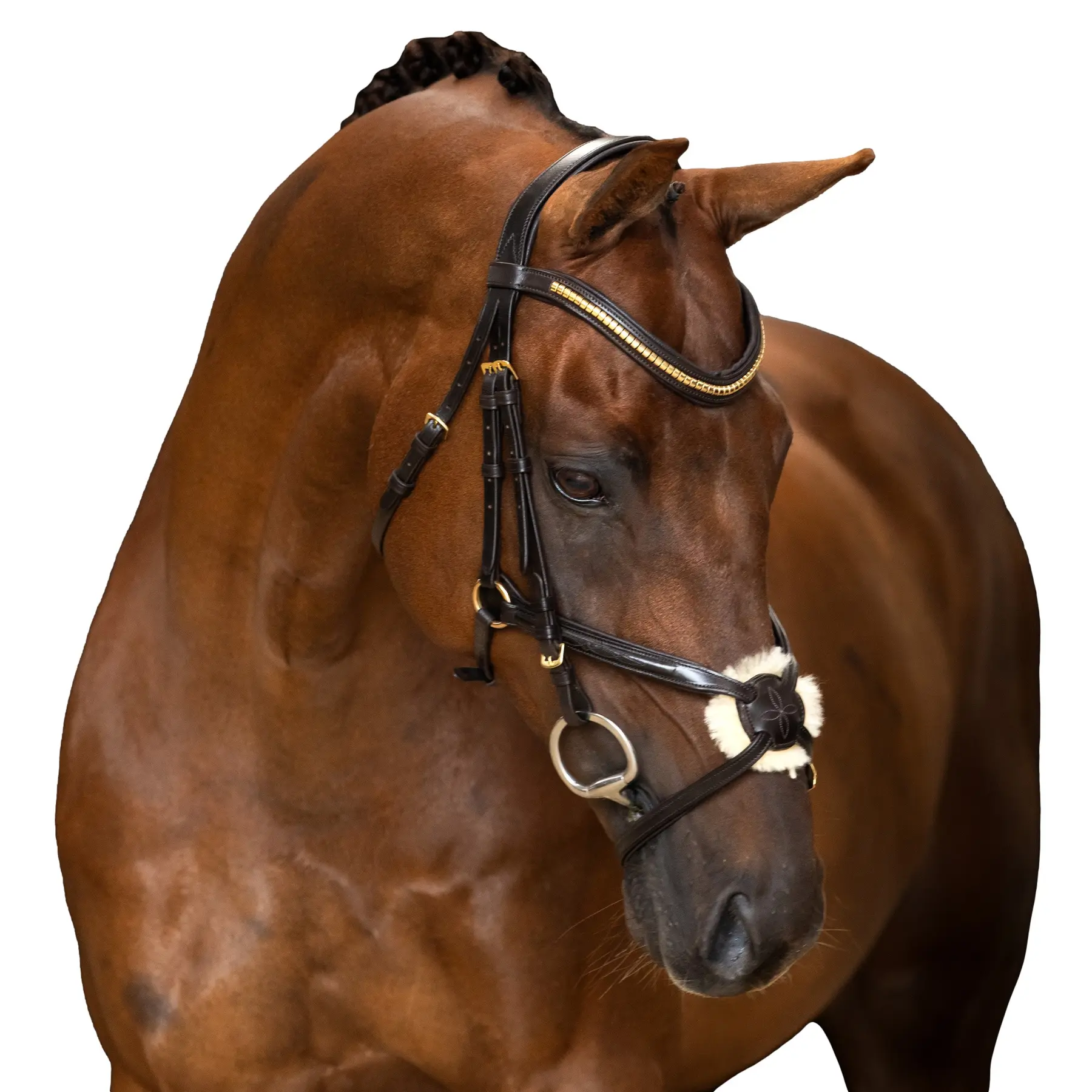 Mexican Riding Bridle Imperial Riding