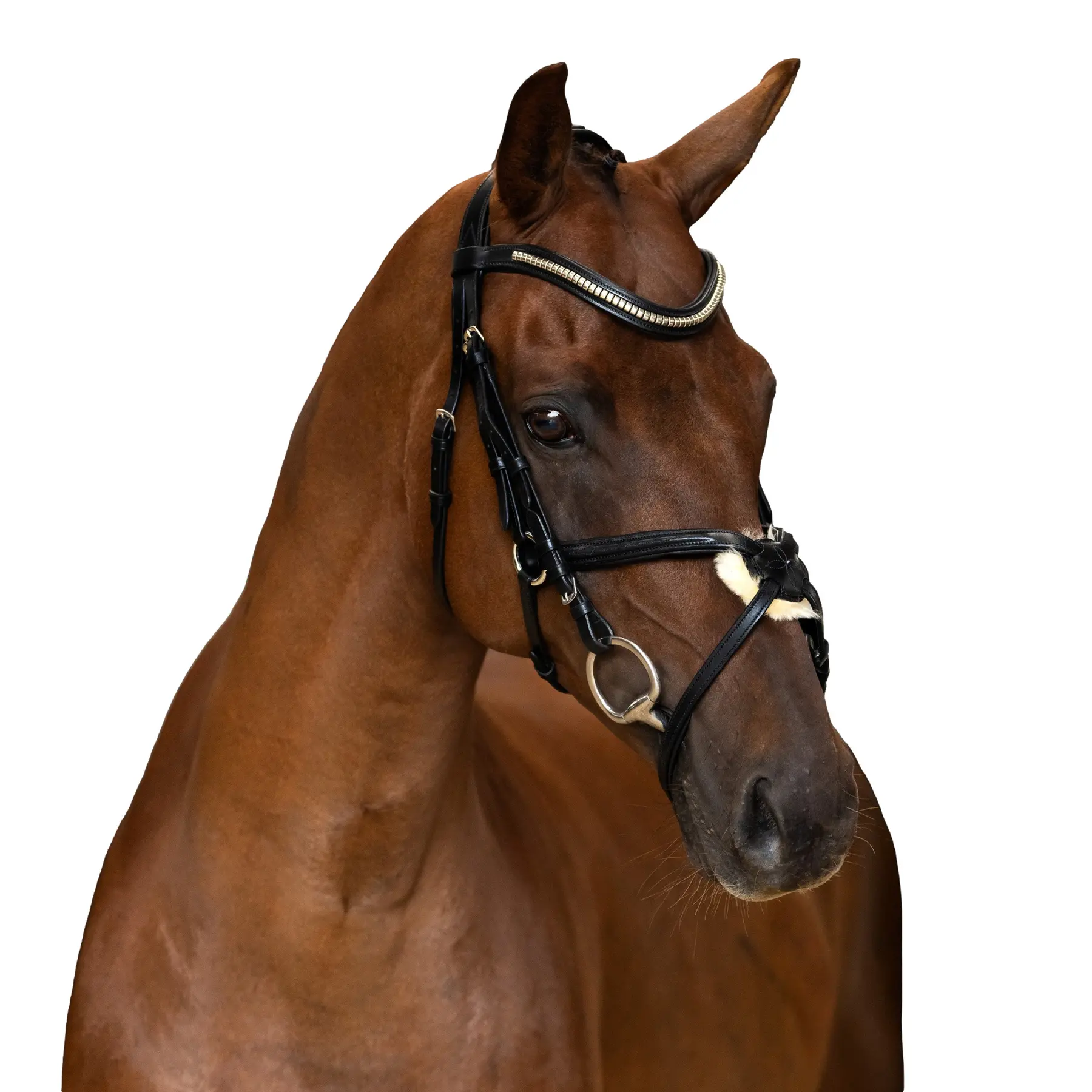 Bridon d'équitation Mexican Imperial Riding