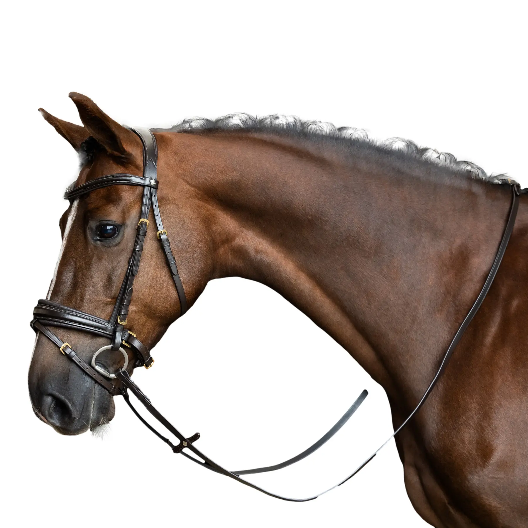 Reins for horses Imperial Riding
