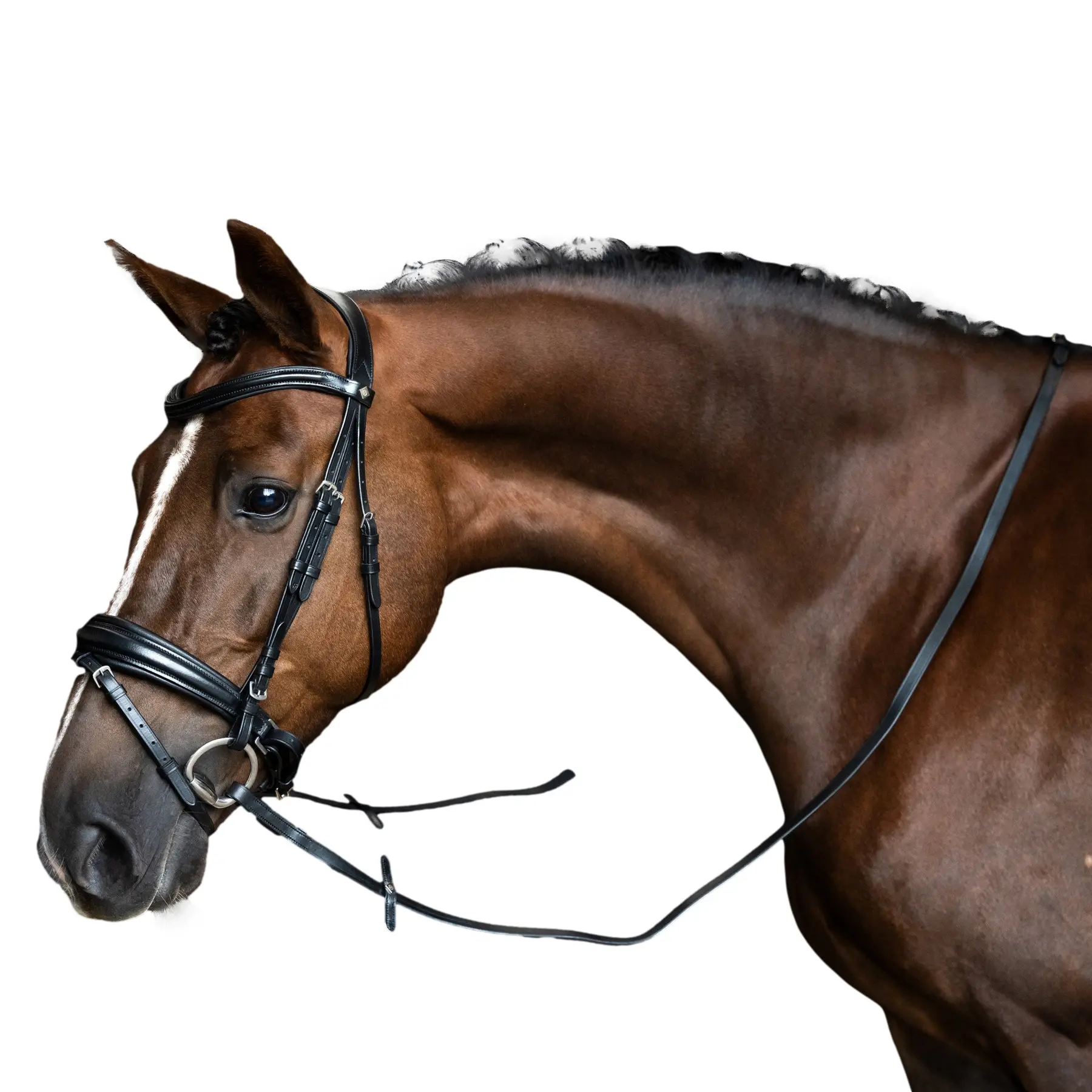 Rênes pour cheval Imperial Riding