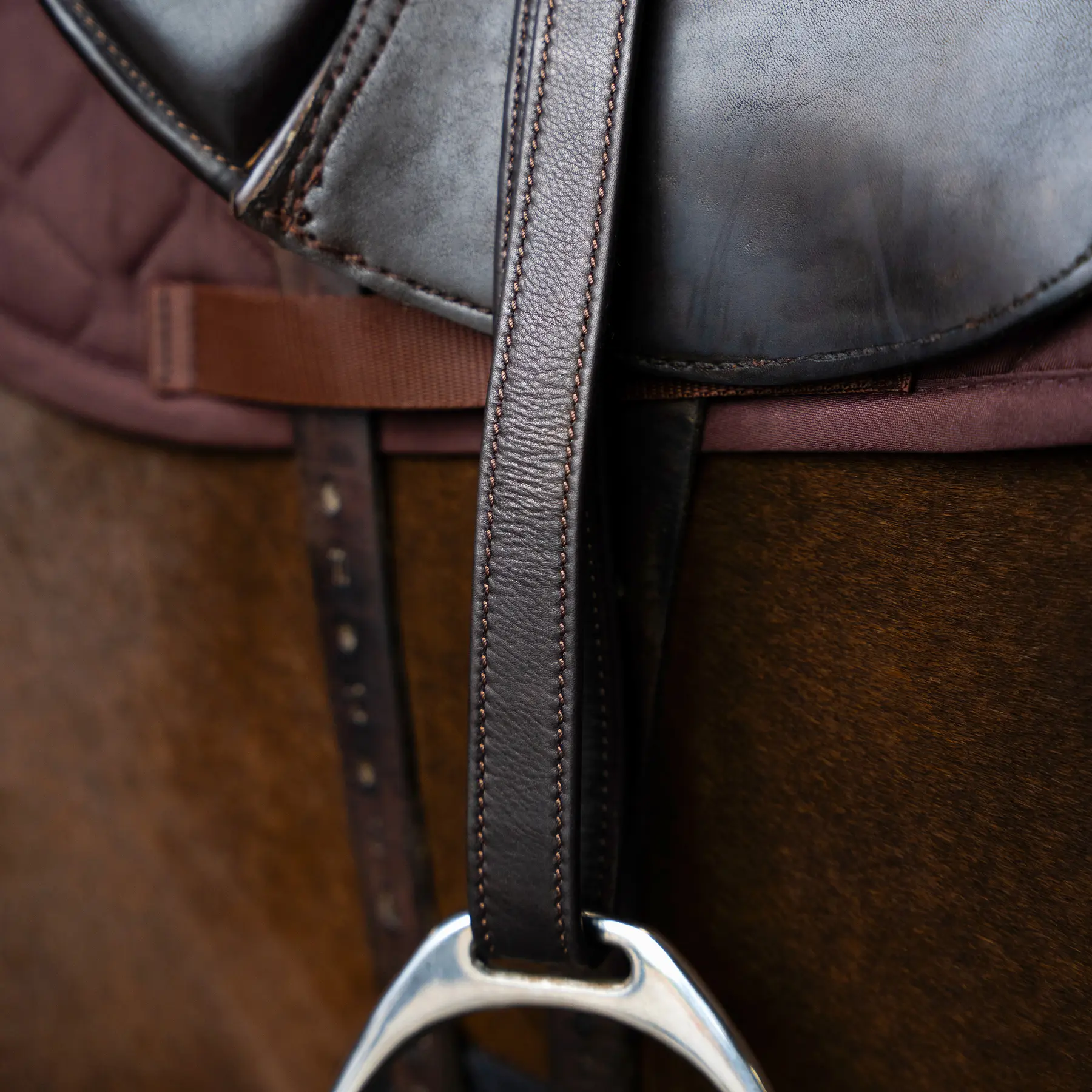Saddle stirrups Imperial Riding en nylon
