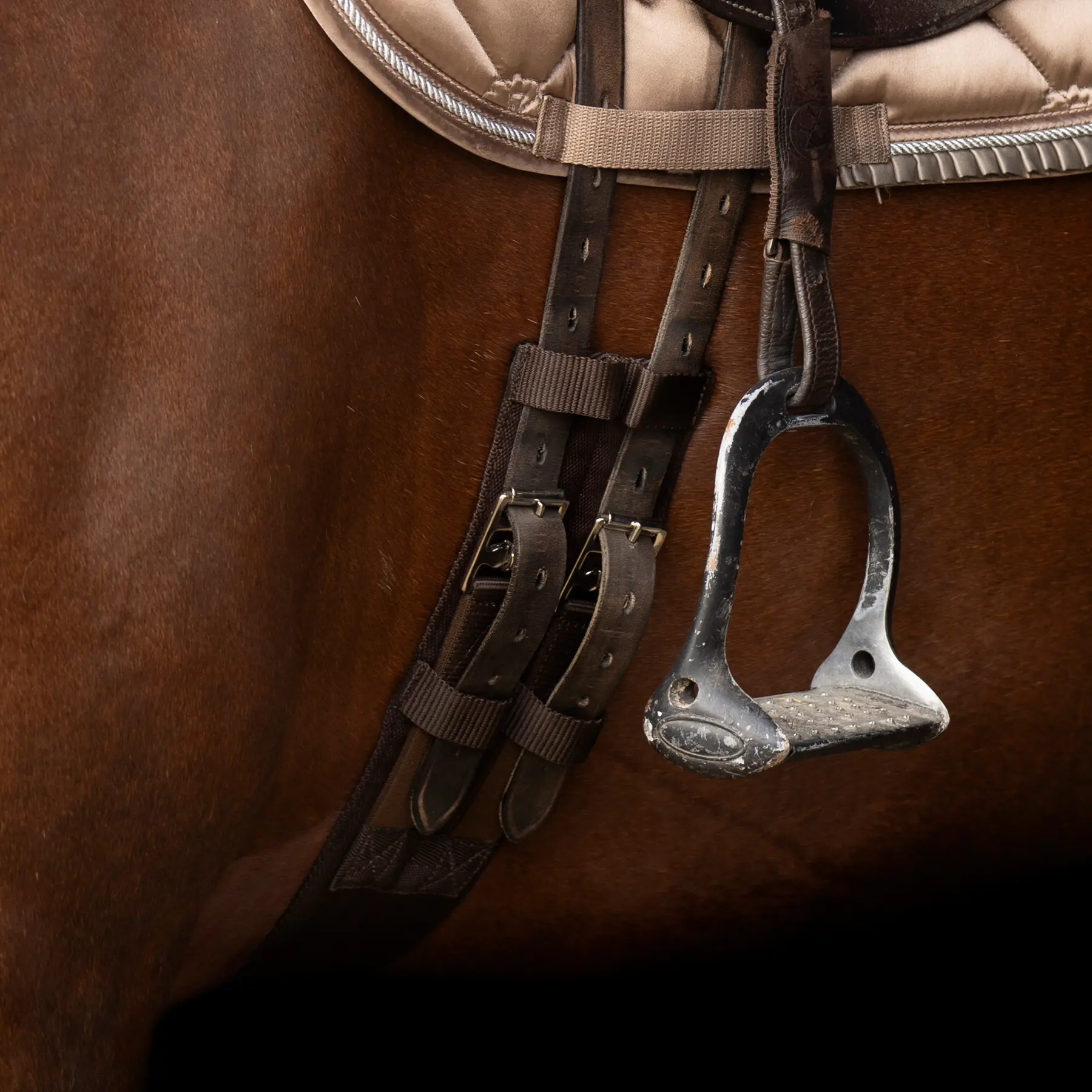 Sangle de dressage d'équitation Imperial Riding Core