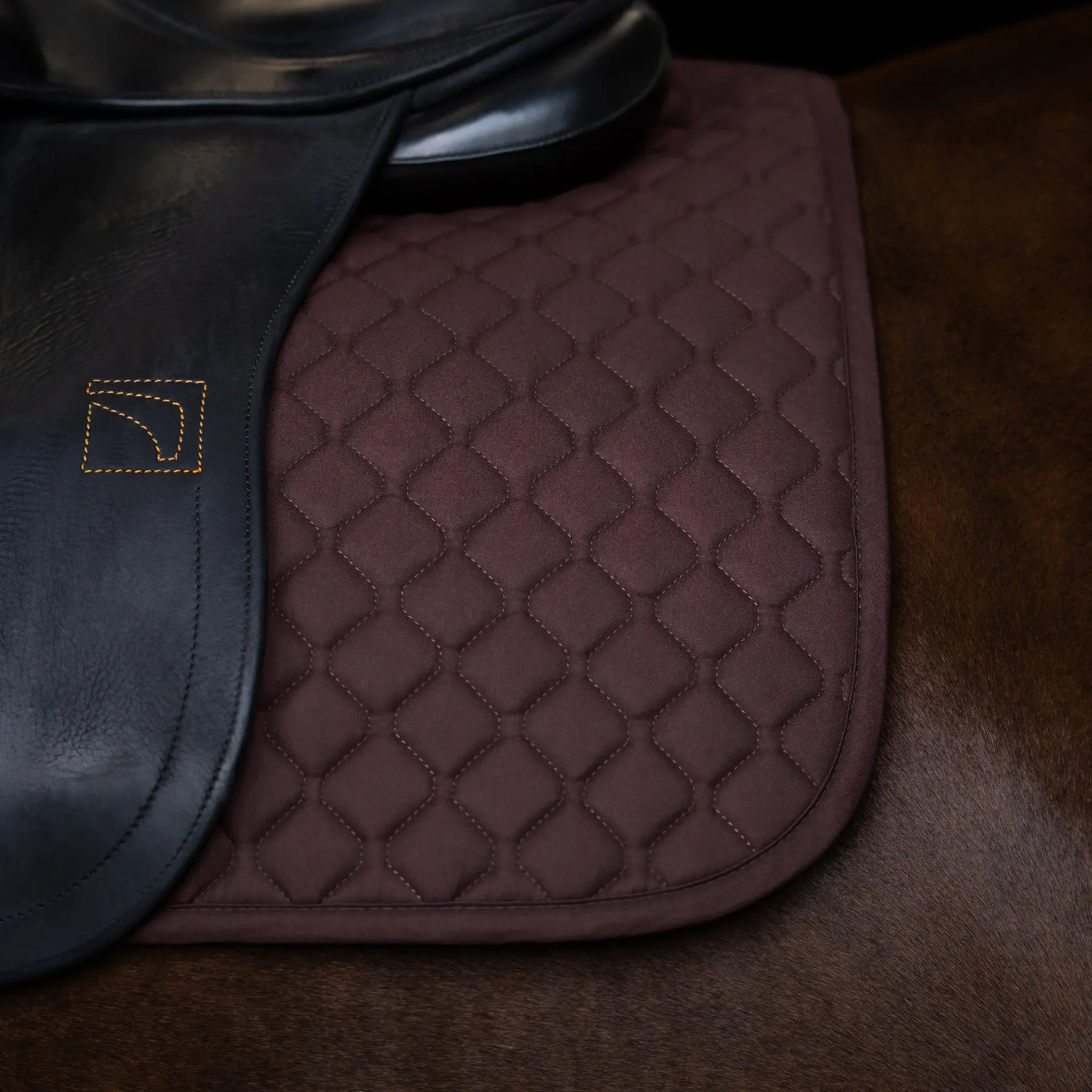 Saddle pad for horses Imperial Riding Basic GP