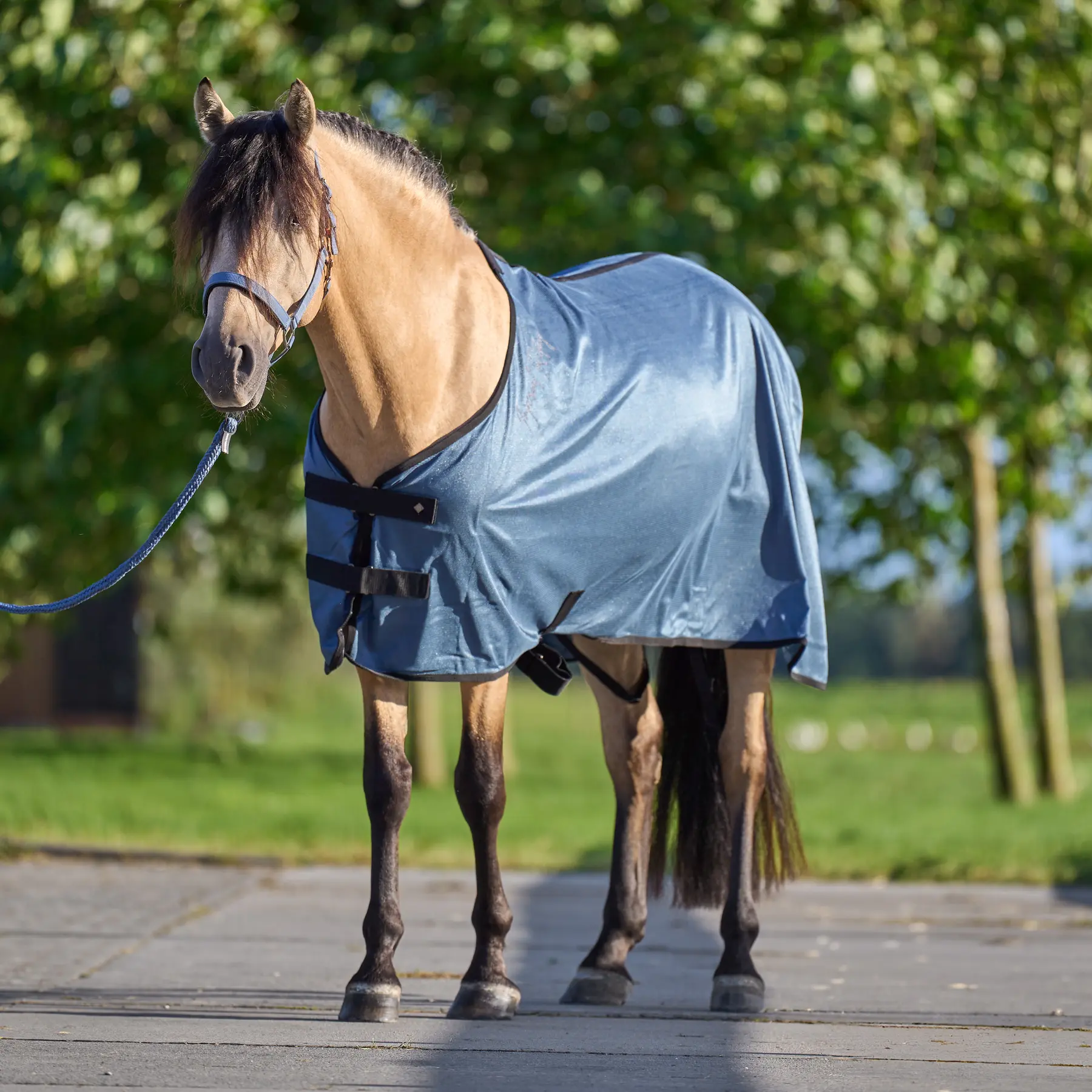 Outdoor Blanket Imperial Riding Mesh 0g