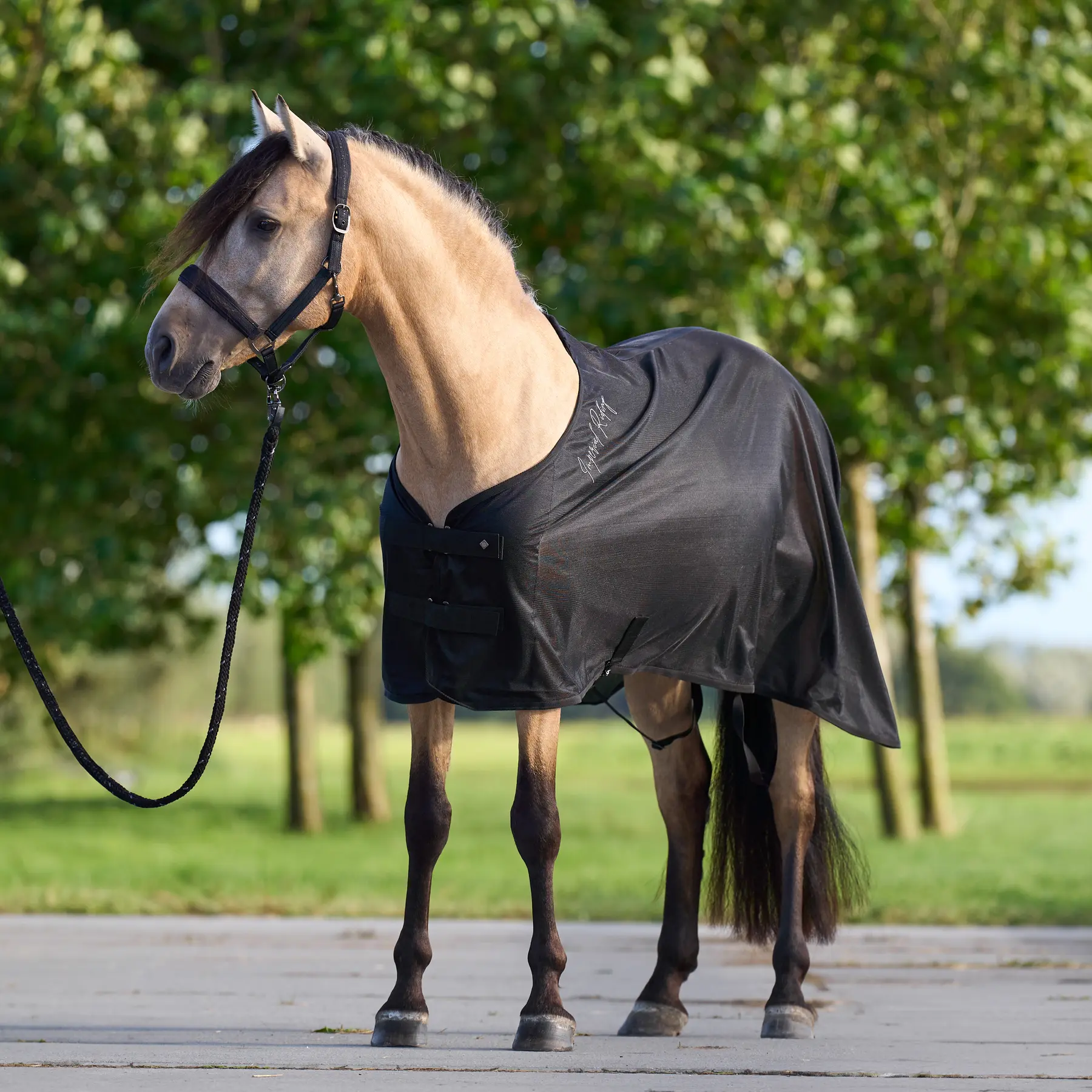 Outdoor-Decke für Pferde Imperial Riding Mesh 0g
