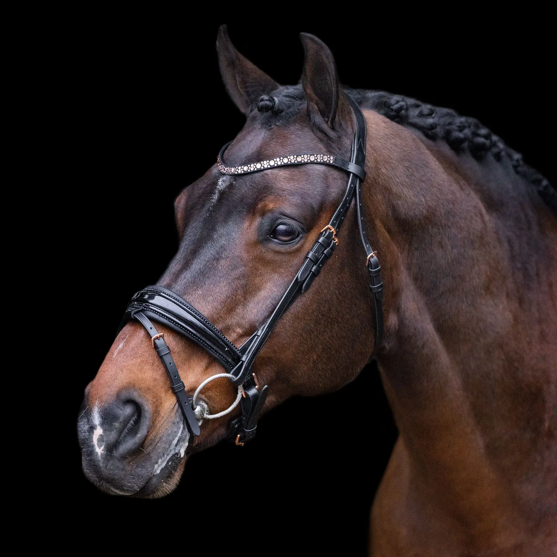 Briglie da equitazione Imperial Riding Olympia