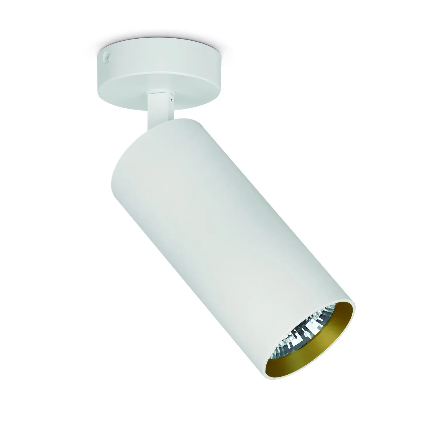 Projecteur lumineux aluminium Indeluz lighting Hidra Phase cut L COB CRI90 2700K/3000K/4000K 36º Projecteur lumineux aluminium Indeluz lighting Hidra Phase cut L COB CRI90 2700K/3000K/4000K 36º