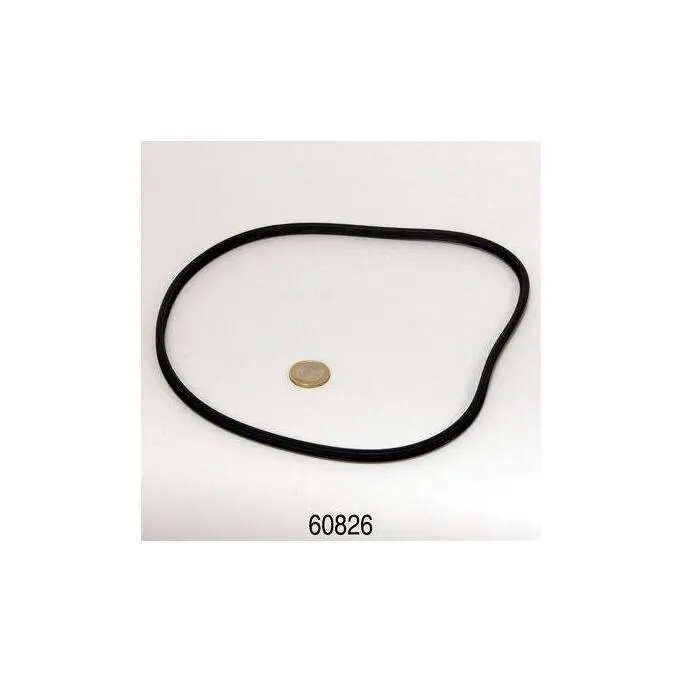 Guarnizione per testa della pompa JBL CP O 500