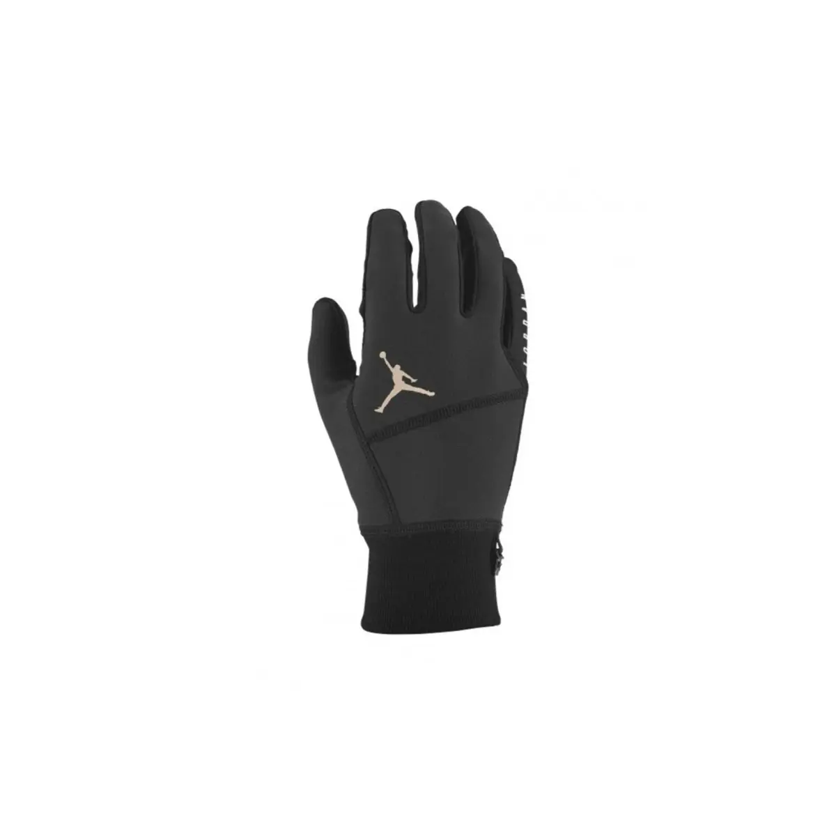 Handschuhe Jordan Hyperstorm