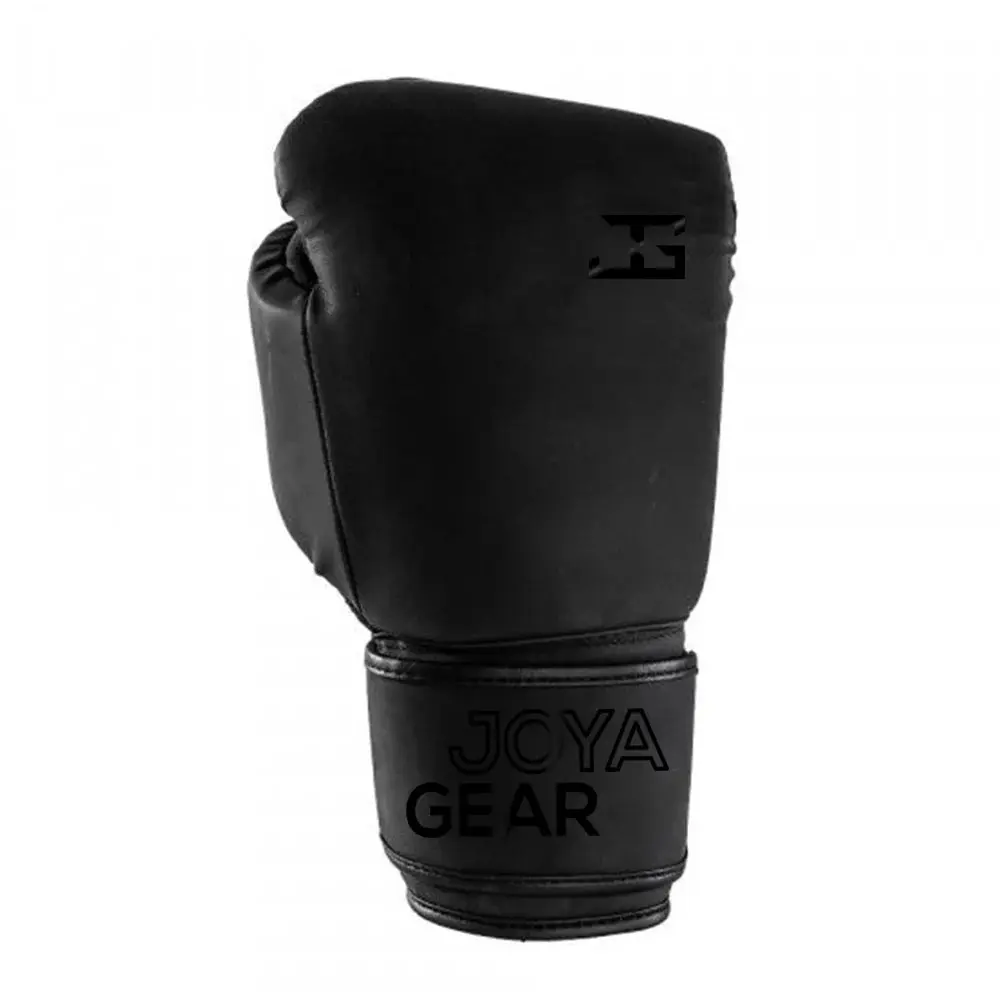Kickboxhandschuhe Joyagear Max