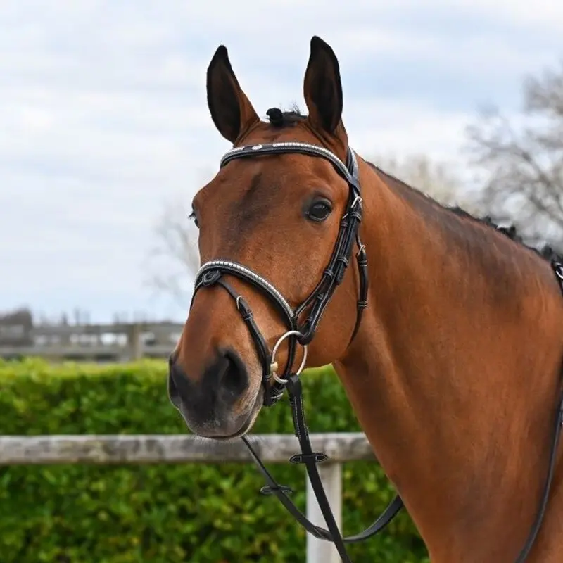 Trense mit Nasenriemen Jump'In Clincher Origin