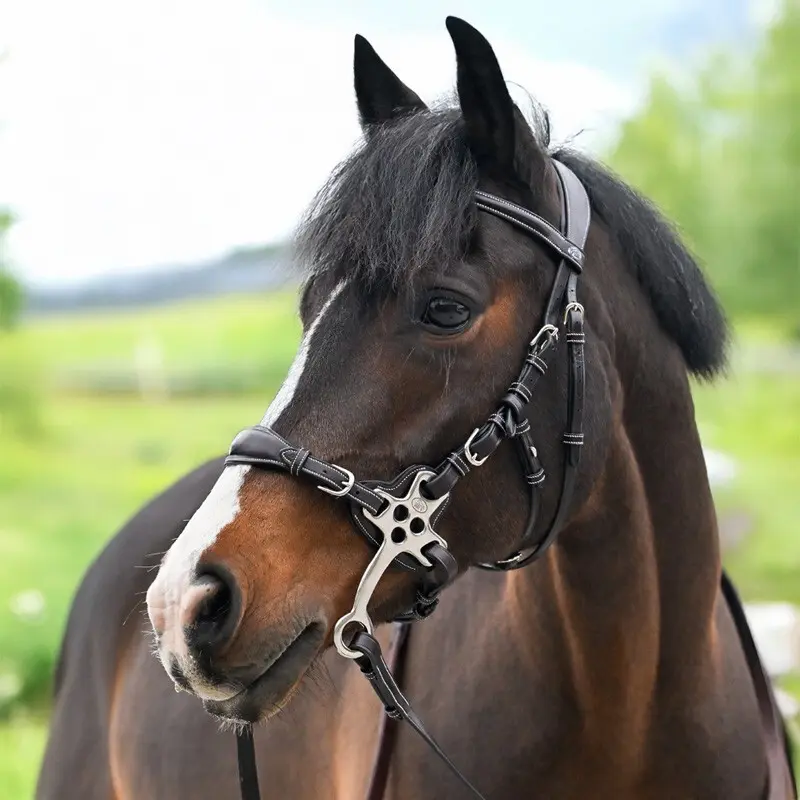 Bridon senza morso per cavallo anatomico Jump'In Hackamore Origin