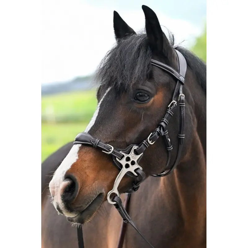 Reittrensen für Pferde Jump'In One Premium Hackamore