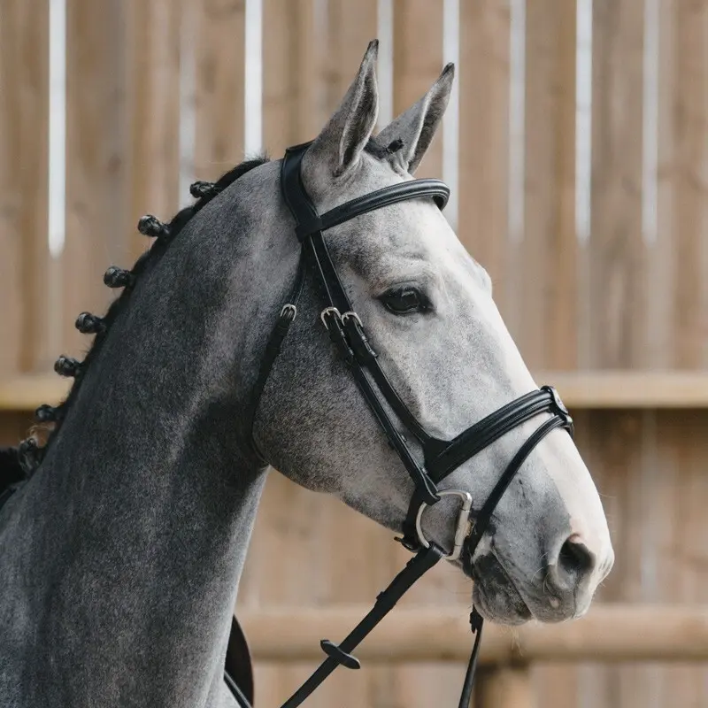Briglia da equitazione combinata all'inglese con nasello anatomico Jump'In Evolution Origin