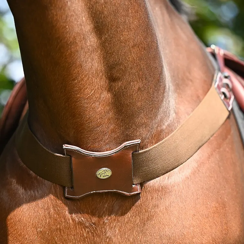 Bricole equitation élastique Jump'In