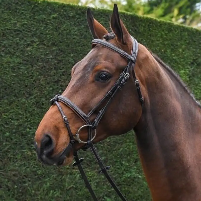 Briglia combinata da equitazione con nasello Jump'In Crystal Week