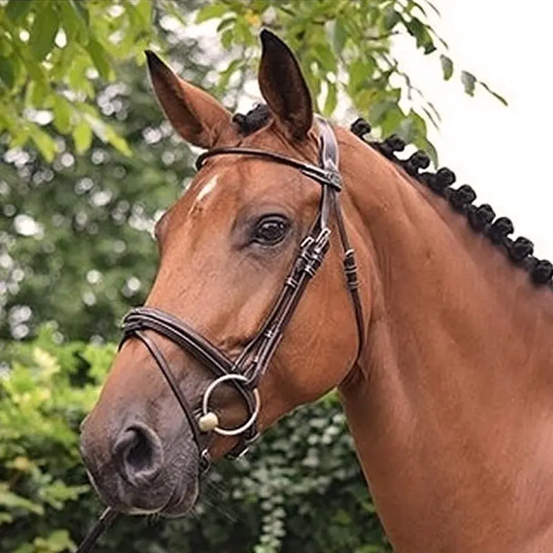 Combined anatomic noseband bridle Jump'In Monday