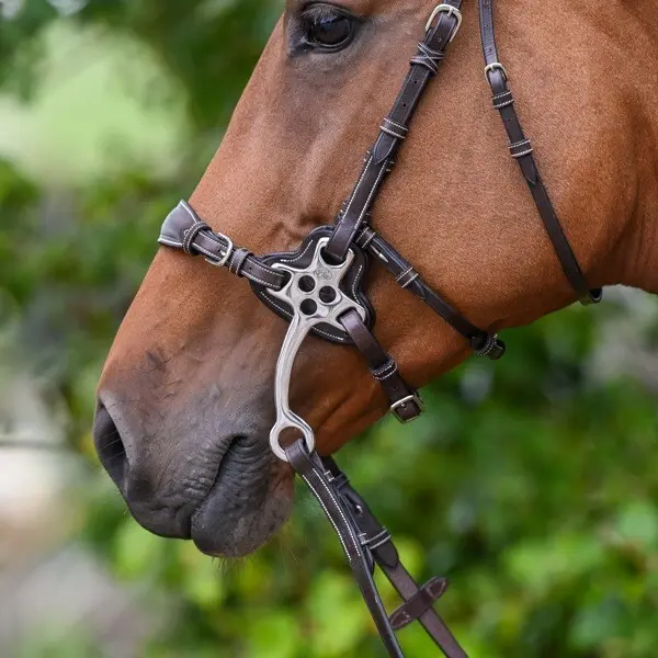Hackamore branches Jump'In