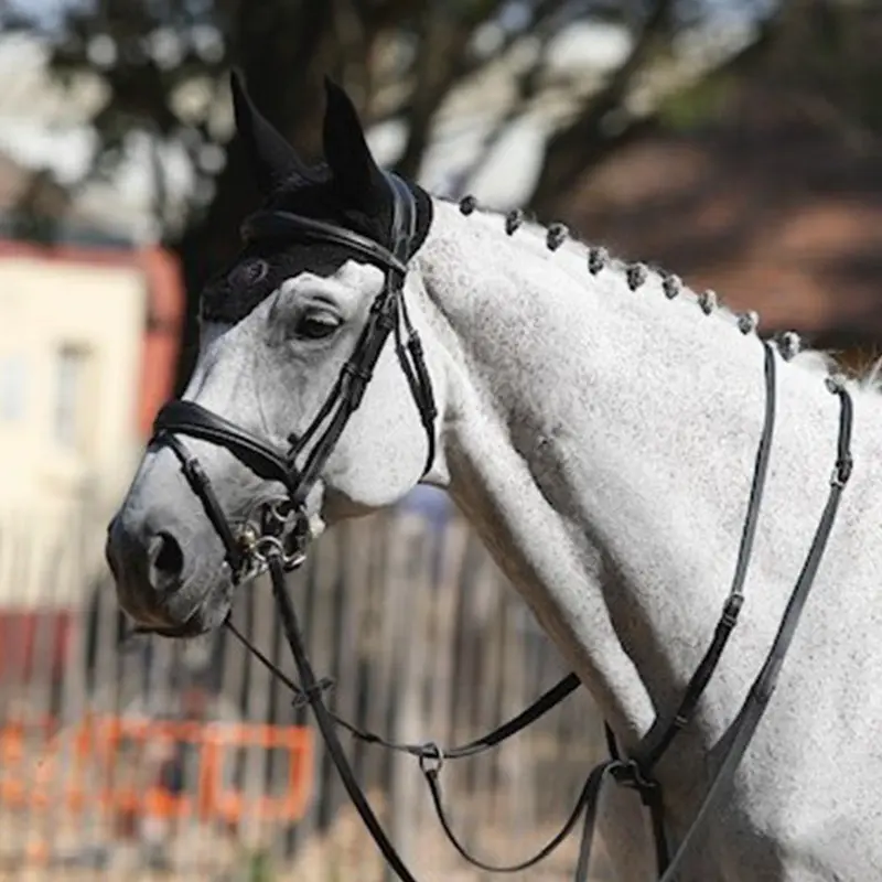 Bridles brussels Jump'In Collection One