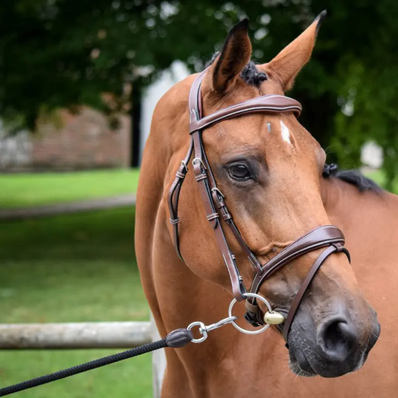 Bridles brussels Jump'In Collection One