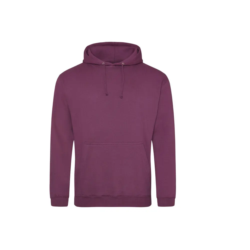 Hoodie Just Hoods College