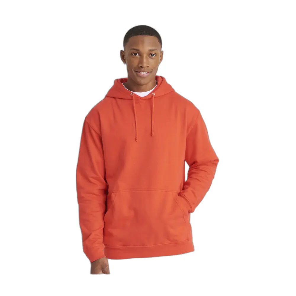 Hoodie Just Hoods College