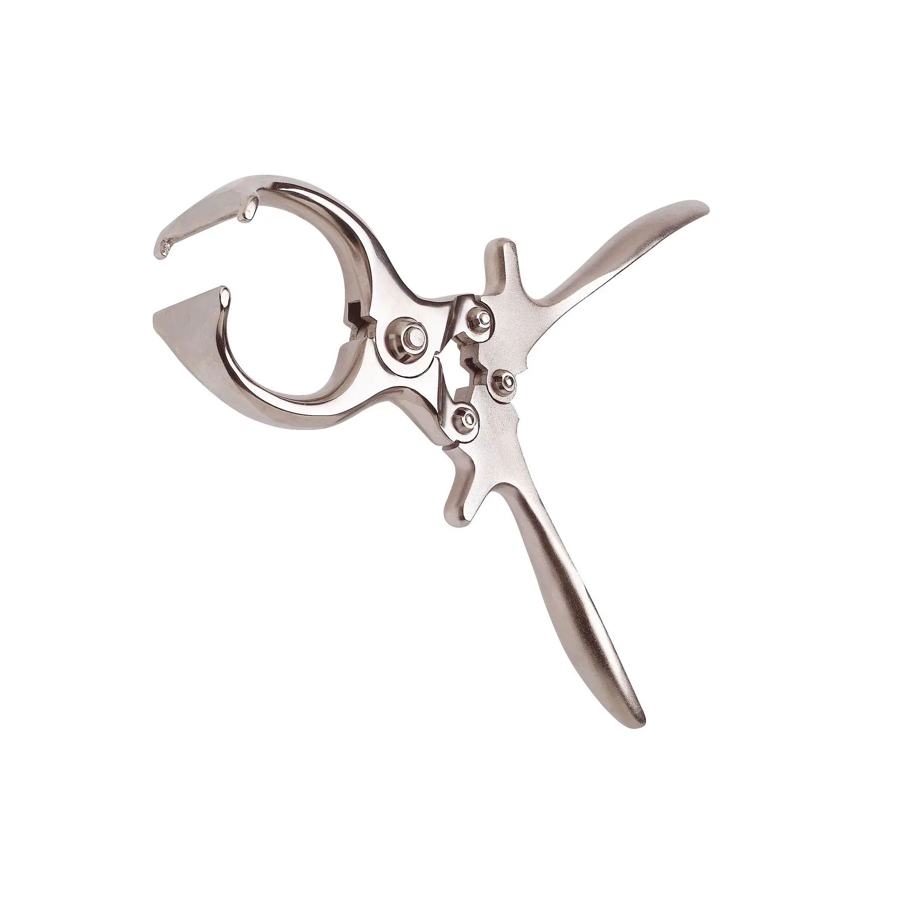 Castration forceps Kamer