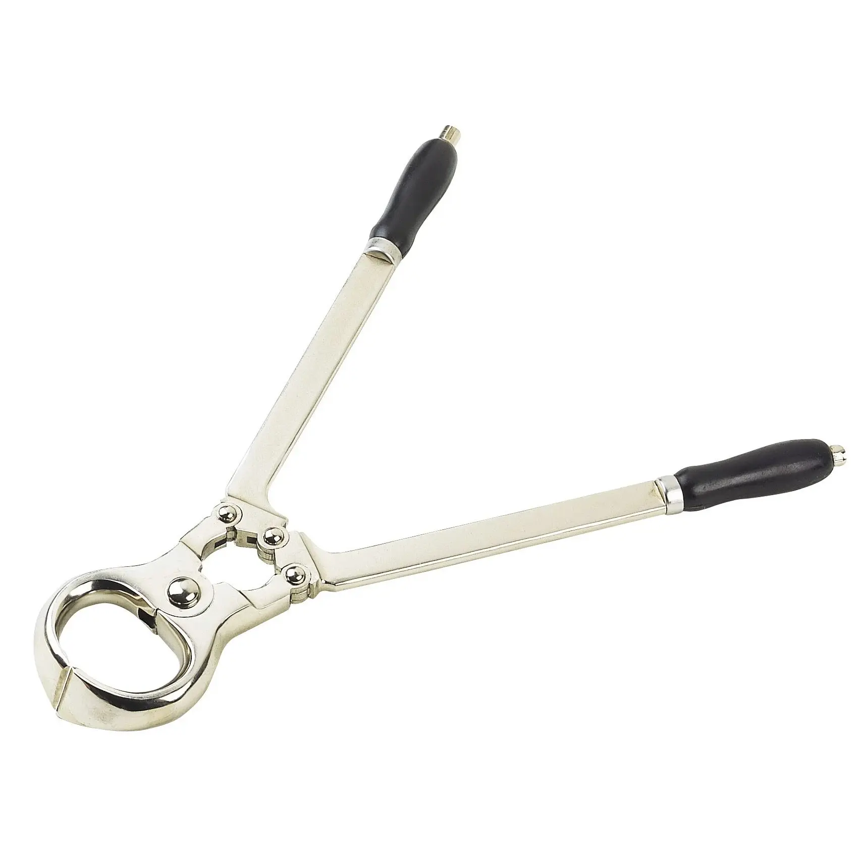 Professional nail clippers Kamer