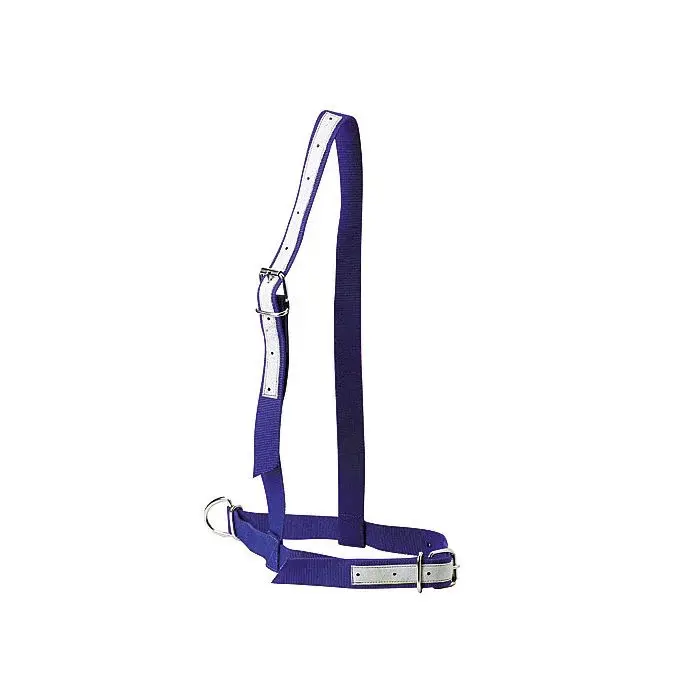 Cavezza in nylon blu Kamer