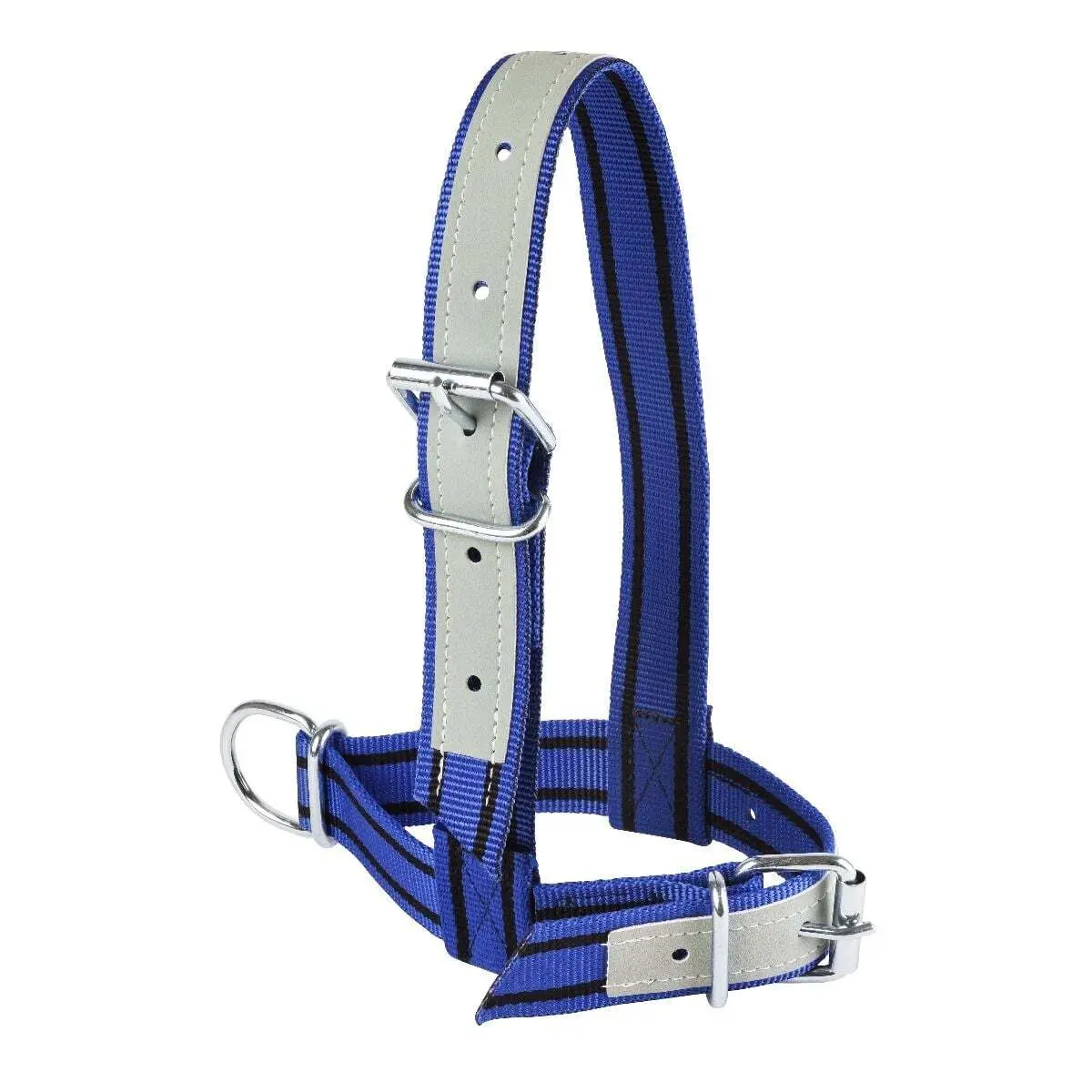 Calf halter Kamer
