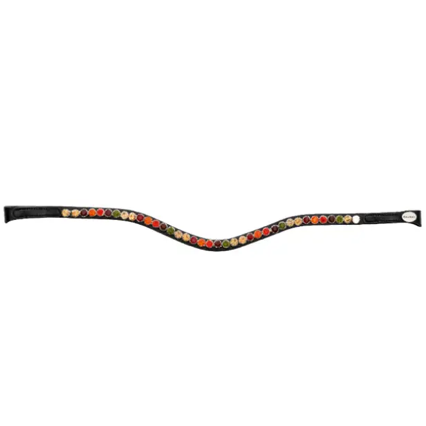 Frontal for horse Kavalkade Seasons Dreams - BC2