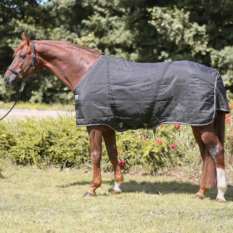 Stalldecke für Pferde Kavalkade Stallion 400 g