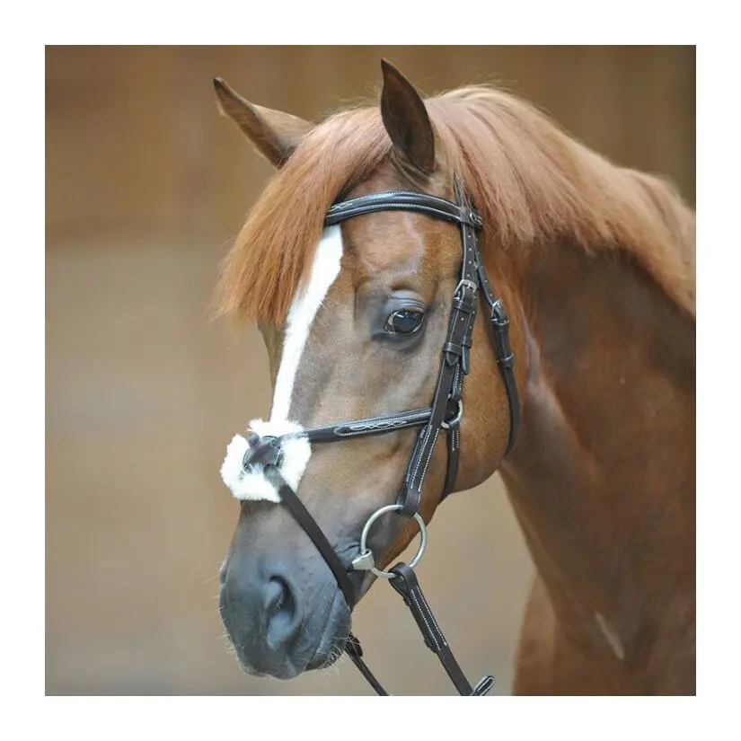 Riding bridles Kavalkade Diandro