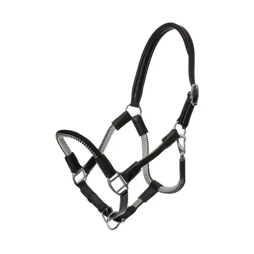 Halter for horse in reins Kavalkade Cavo