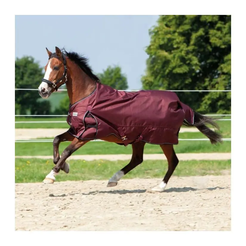 Outdoor horse blanket Kavalkade Alaska IV 300 g