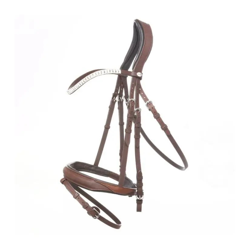 Riding bridles Kavalkade Everness