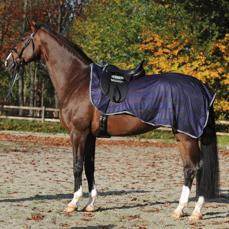 Fleece Blanket Kavalkade