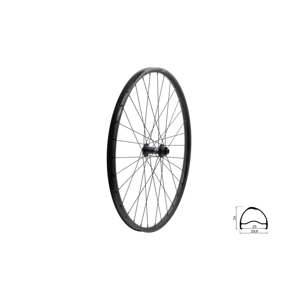 Vorderrad Kellys Segador 25 SL DSC