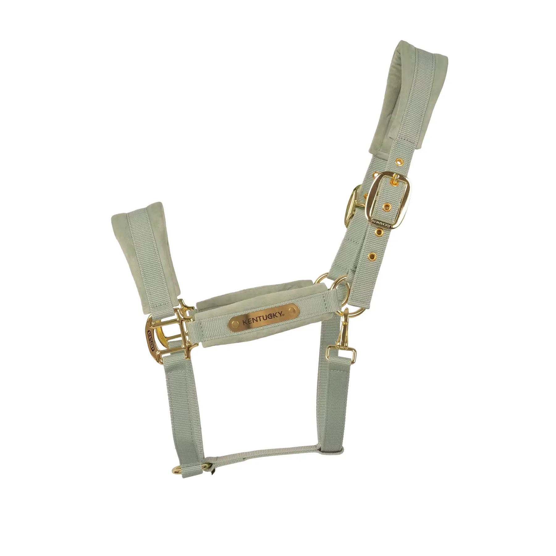 Pferdehalfter aus Nylon Kentucky Horsewear