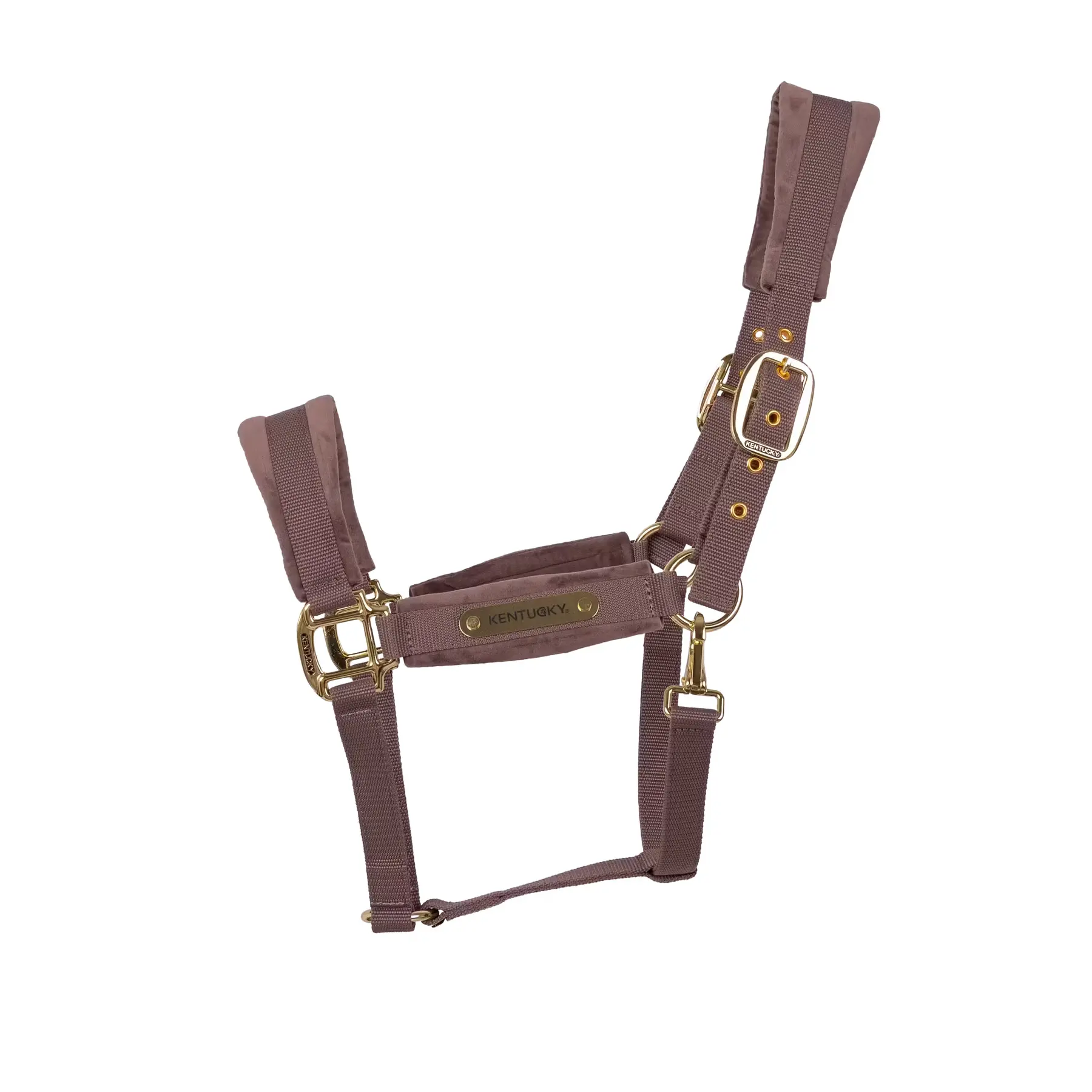 Nylon horse halter Kentucky Horsewear