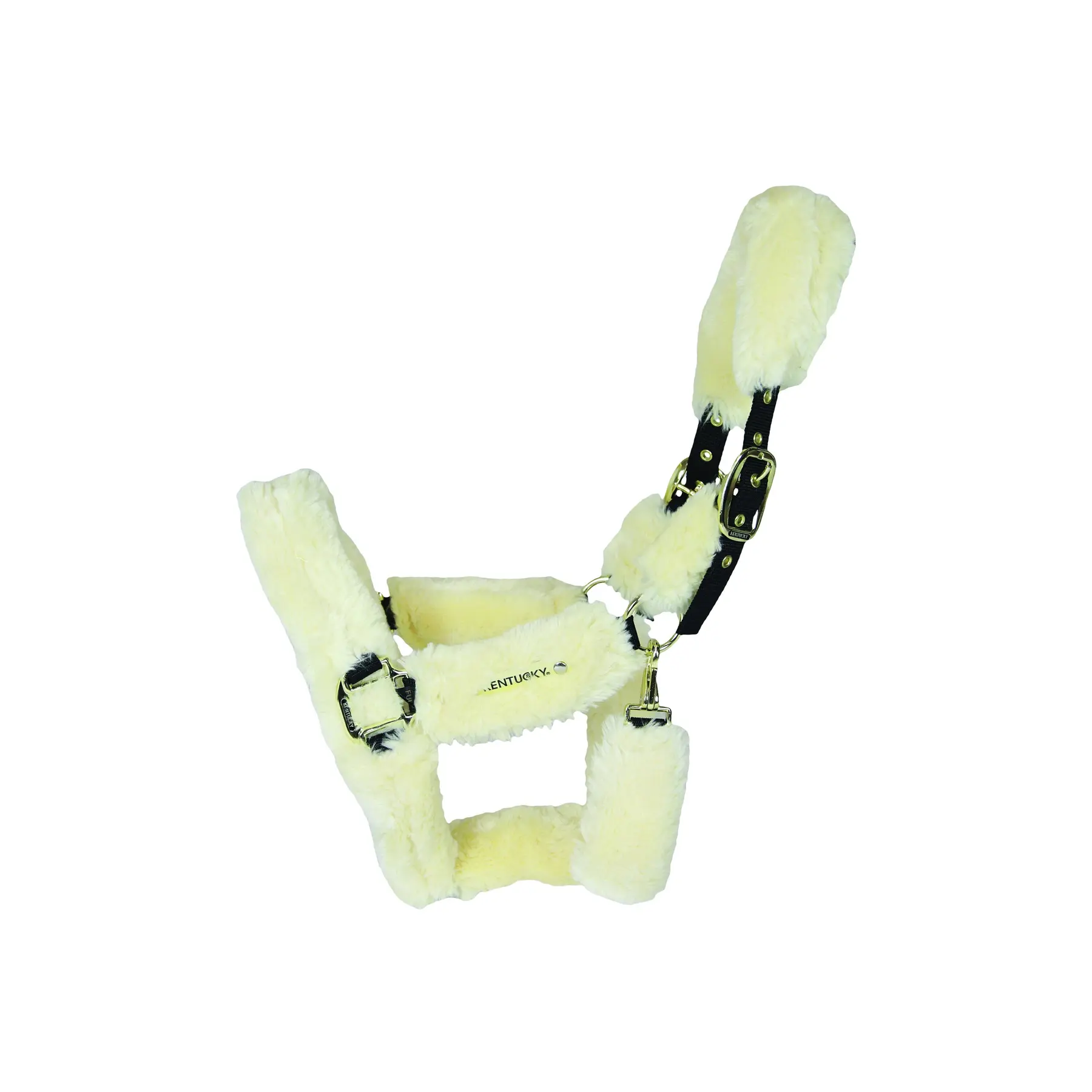 Sheep halter Kentucky